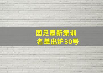 国足最新集训名单出炉30号