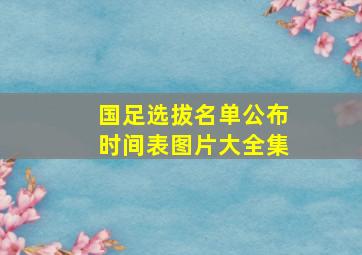 国足选拔名单公布时间表图片大全集