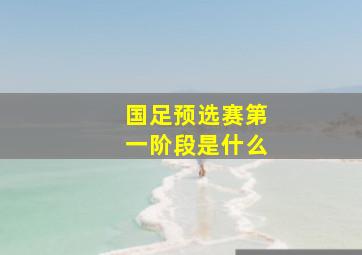 国足预选赛第一阶段是什么