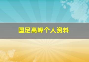 国足高峰个人资料