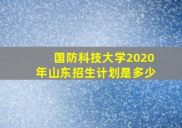 国防科技大学2020年山东招生计划是多少