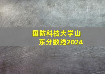 国防科技大学山东分数线2024