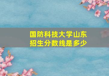 国防科技大学山东招生分数线是多少