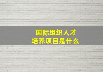 国际组织人才培养项目是什么