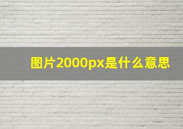 图片2000px是什么意思