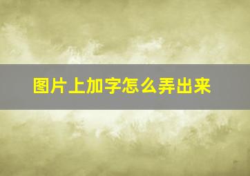 图片上加字怎么弄出来