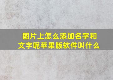 图片上怎么添加名字和文字呢苹果版软件叫什么