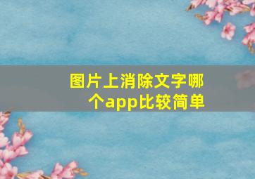 图片上消除文字哪个app比较简单