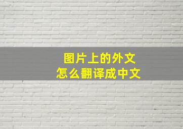 图片上的外文怎么翻译成中文