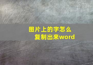 图片上的字怎么复制出来word