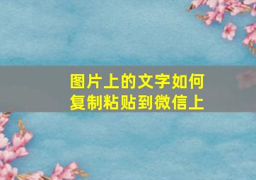 图片上的文字如何复制粘贴到微信上