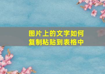 图片上的文字如何复制粘贴到表格中