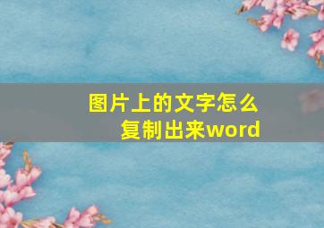 图片上的文字怎么复制出来word