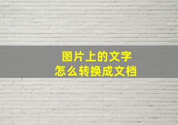 图片上的文字怎么转换成文档