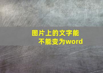 图片上的文字能不能变为word