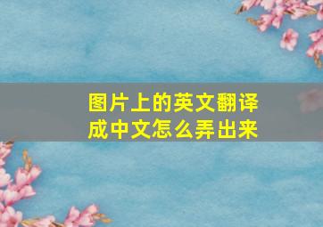 图片上的英文翻译成中文怎么弄出来