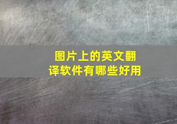 图片上的英文翻译软件有哪些好用