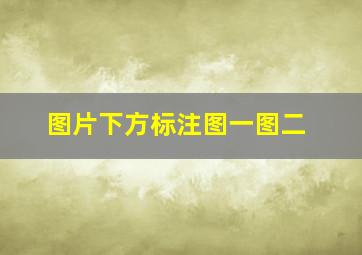 图片下方标注图一图二