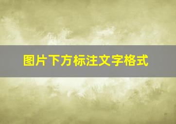 图片下方标注文字格式