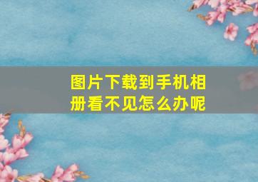 图片下载到手机相册看不见怎么办呢