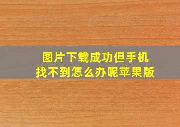 图片下载成功但手机找不到怎么办呢苹果版