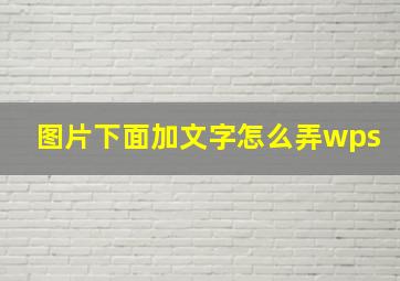 图片下面加文字怎么弄wps