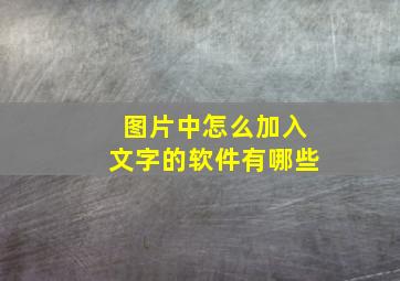 图片中怎么加入文字的软件有哪些