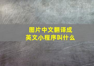 图片中文翻译成英文小程序叫什么