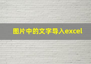 图片中的文字导入excel