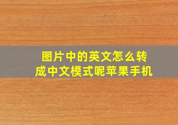 图片中的英文怎么转成中文模式呢苹果手机