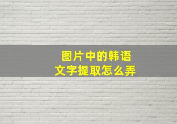 图片中的韩语文字提取怎么弄