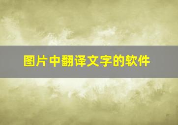 图片中翻译文字的软件