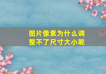 图片像素为什么调整不了尺寸大小呢