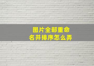 图片全部重命名并排序怎么弄