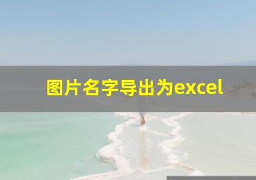 图片名字导出为excel