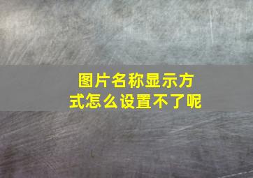 图片名称显示方式怎么设置不了呢