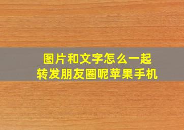 图片和文字怎么一起转发朋友圈呢苹果手机