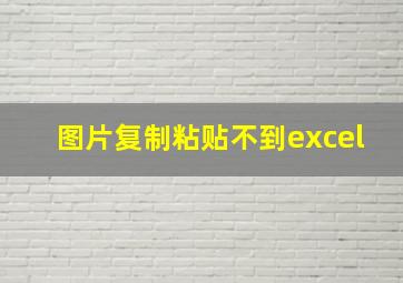 图片复制粘贴不到excel