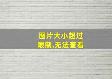 图片大小超过限制,无法查看