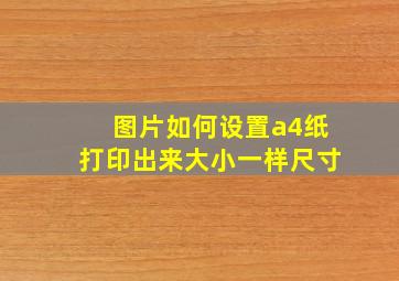 图片如何设置a4纸打印出来大小一样尺寸