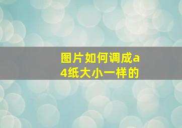 图片如何调成a4纸大小一样的