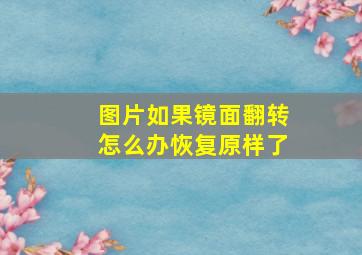 图片如果镜面翻转怎么办恢复原样了