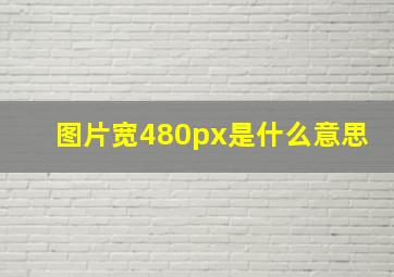 图片宽480px是什么意思