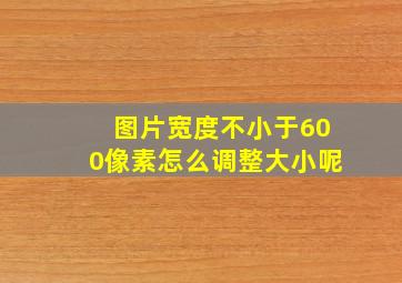 图片宽度不小于600像素怎么调整大小呢