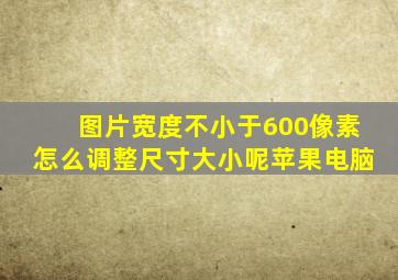 图片宽度不小于600像素怎么调整尺寸大小呢苹果电脑