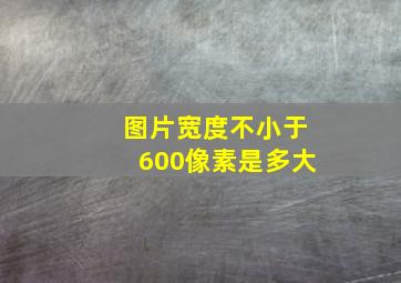 图片宽度不小于600像素是多大