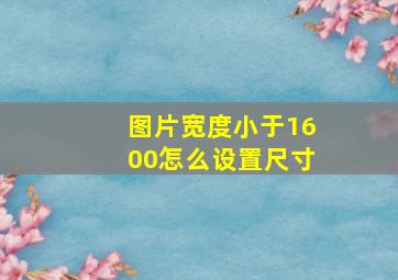 图片宽度小于1600怎么设置尺寸