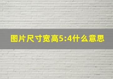 图片尺寸宽高5:4什么意思