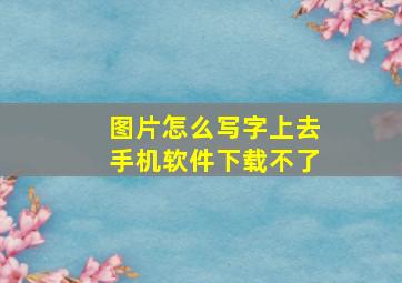 图片怎么写字上去手机软件下载不了