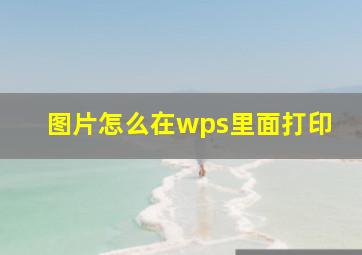 图片怎么在wps里面打印